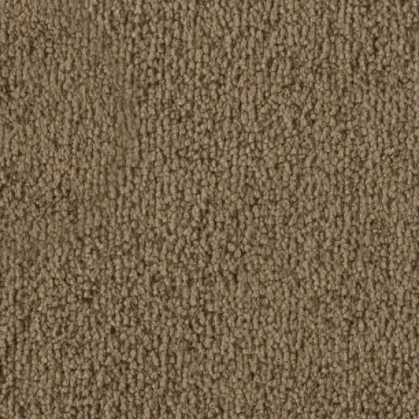 Vorwerk Safira Teppichboden Farbcode 2F96 – Draufsicht ohne Etikett